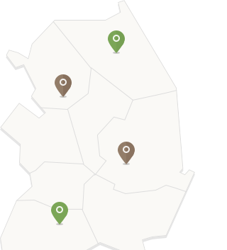 ��������ȳ�