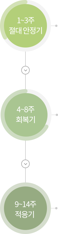 �������� �Ⱓ�� ��ǥ